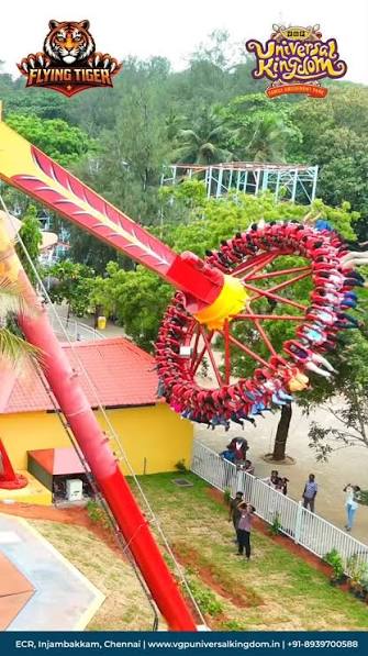 Flying Tiger